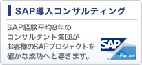 SAP�����R���T���e�B���O