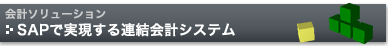 SAP�Ŏ�������A����v�V�X�e��